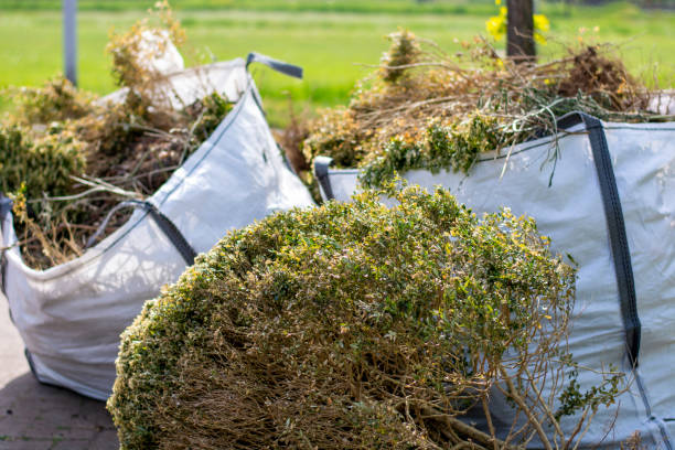 Best Shed Removal  in Fort Lauderdale, FL